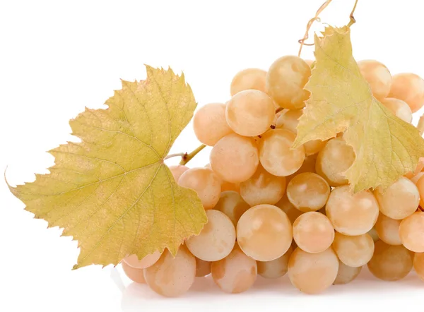 Uvas Verdes Frescas Com Folhas Isoladas Branco — Fotografia de Stock