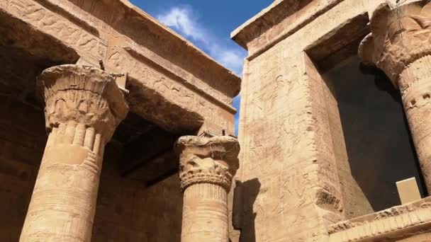 埃及埃德福荷鲁斯古寺的废墟 — 图库视频影像