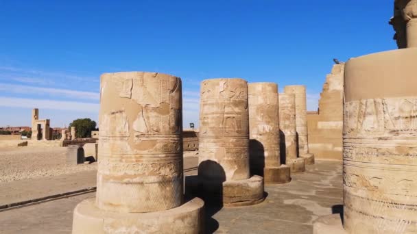 Die Ruinen Des Antiken Tempels Von Sebek Kom Ombo Ägypten — Stockvideo
