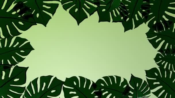 Fondo decorativo de fantasía con plantas Monstera, representación 3D — Vídeos de Stock