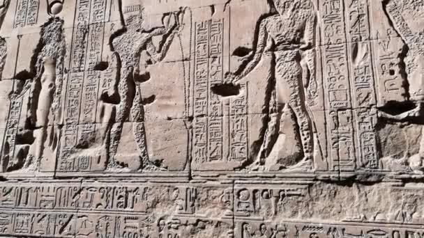 Ruinerna av det antika templet Horus i Edfu, Egypten — Stockvideo