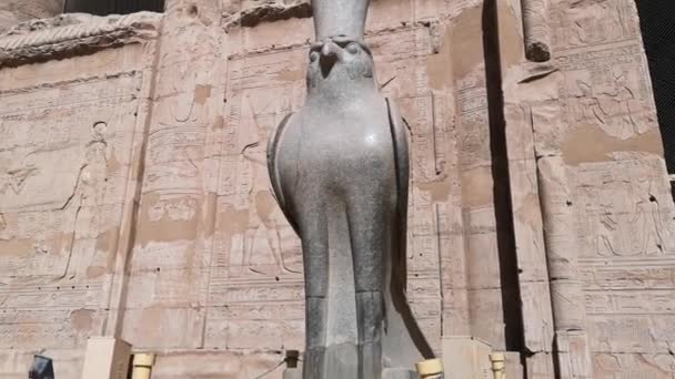 Ruinerna av det antika templet Horus i Edfu, Egypten — Stockvideo