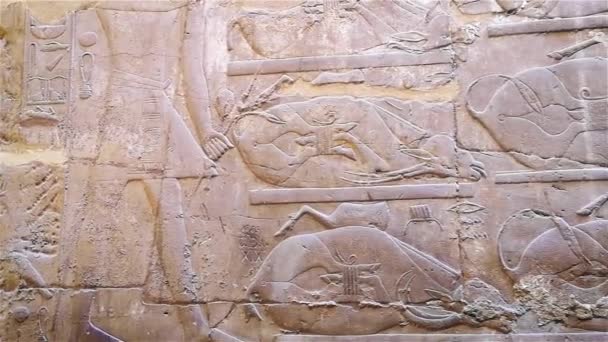 Ruinerna av det antika templet Horus i Edfu, Egypten — Stockvideo