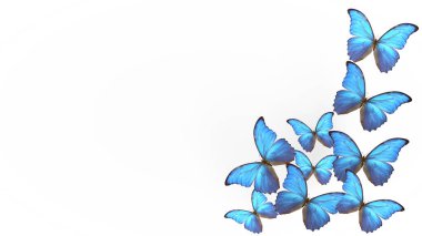 Yazın mavi kelebekleri uçuyor. Hafif arka planda bir kelebek. 3d oluşturma.