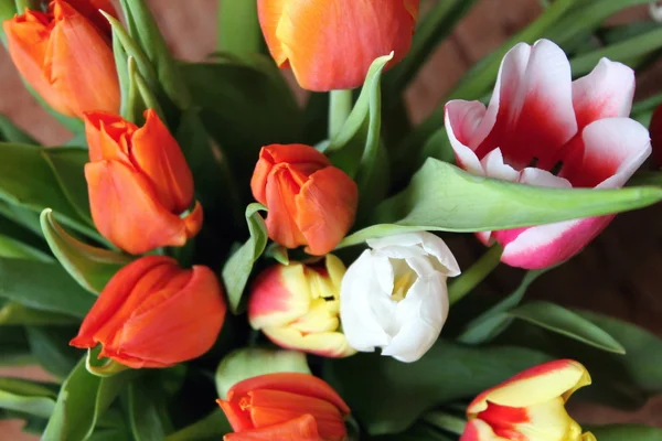 Tulips, flowers, bouquet — Stock Photo, Image