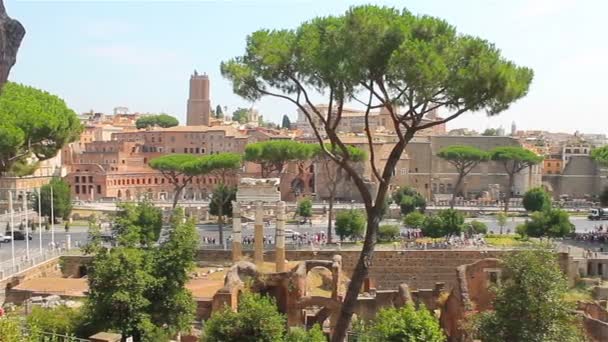 Estate soleggiata Roma, veduta del Foro Romano — Video Stock