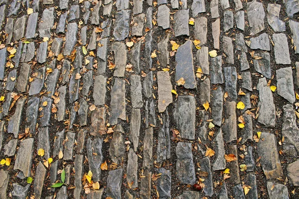 Stone bridge and autumn leaves — Stock Photo, Image