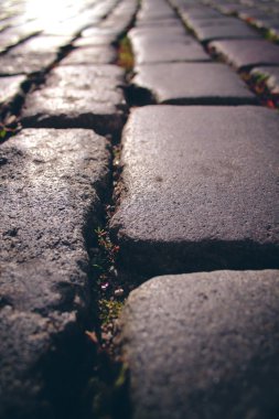 kaldırım closeup çatlamak