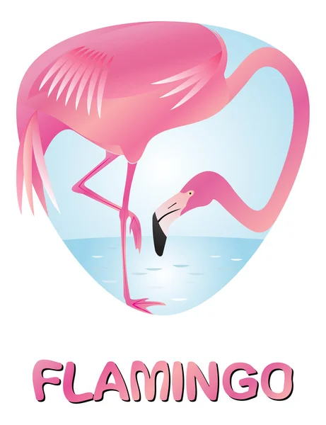 Ilustração de flamingo bonito desenhos animados — Vetor de Stock