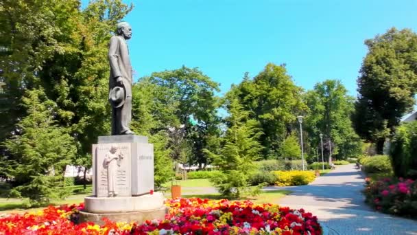 ベドリッチ スメタナ像彫刻記念碑石のランドマークブロンズ公共の図 世界の重要性の有名なチェコの作曲家音楽 — ストック動画