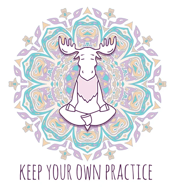 Meditatif hayvan serisi.