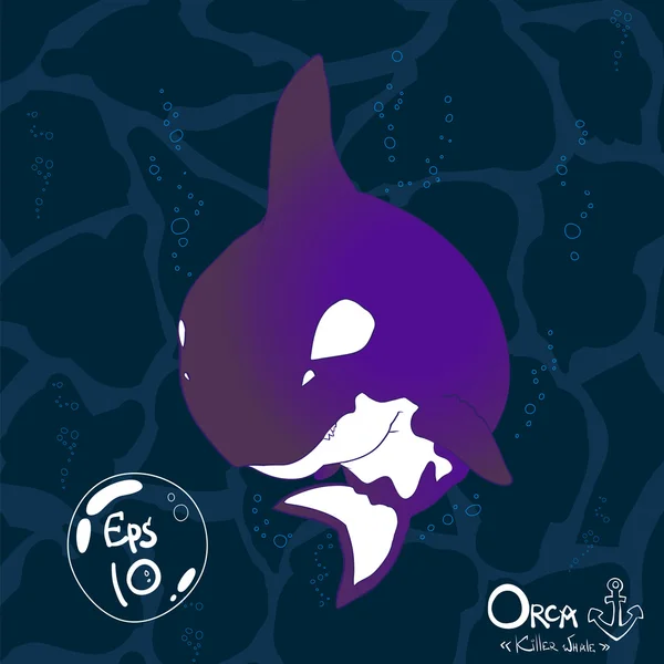 Orca, Kardszárnyú delfin. — Stock Vector