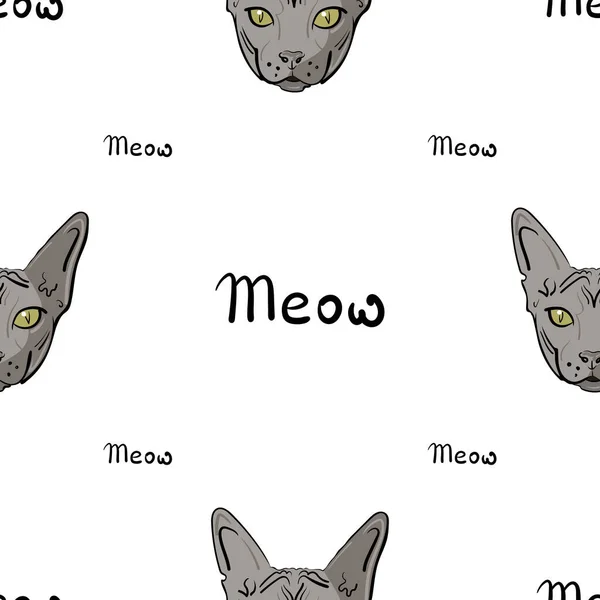 Padrão sem costura branco com um gato Sphynx cinza e o Meow lettering. — Vetor de Stock