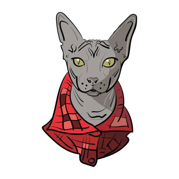 Kırmızı gömlekli el yapımı Sphynx kedisi. Vektör illüstrasyonu. — Stok Vektör