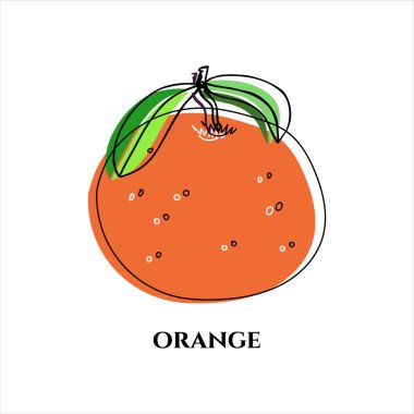 Karalama tarzında portakal veya mandalinanın vektör çizimi.