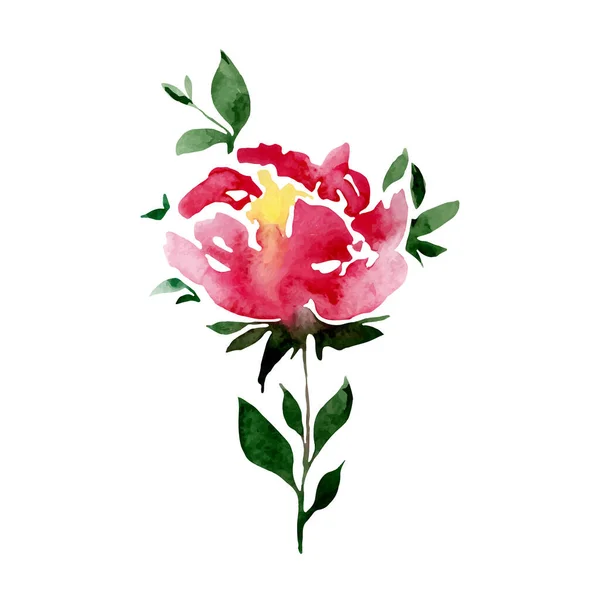 Векторная иллюстрация акварельной розовой розы. — стоковый вектор