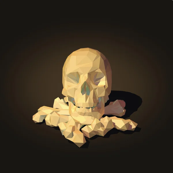 kafatası ve kemikler