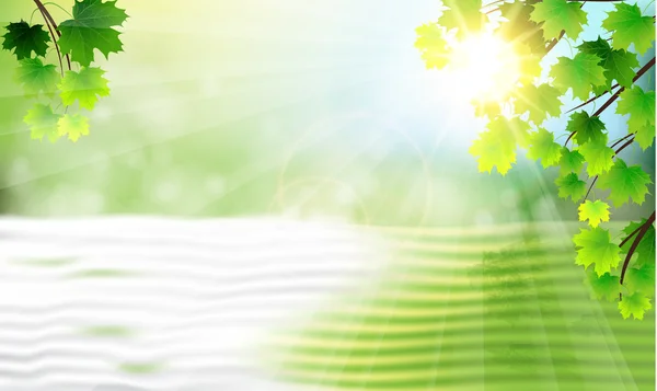 ağaç dalları ve suyun