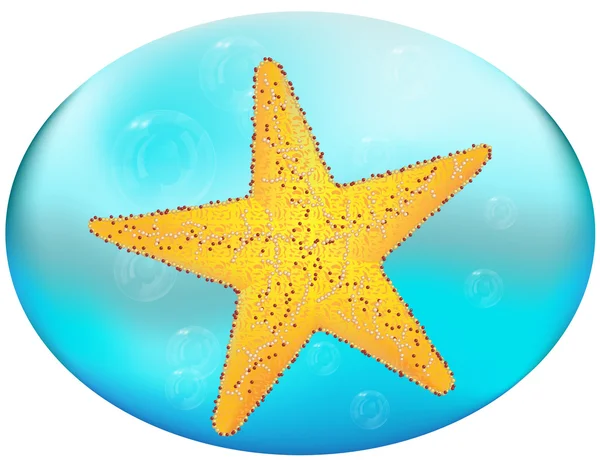 Морська зірка — стоковий вектор