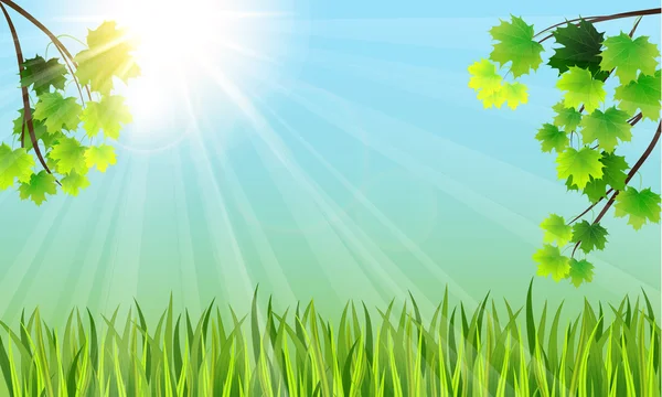 Ağaç dalları, otlar ve güneş