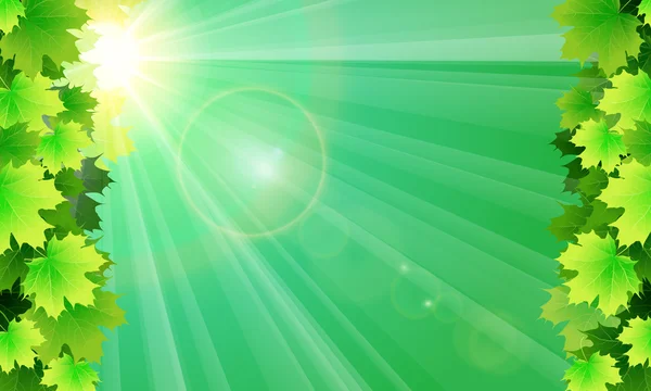 Dalları ile yeşil renkli yapraklarda