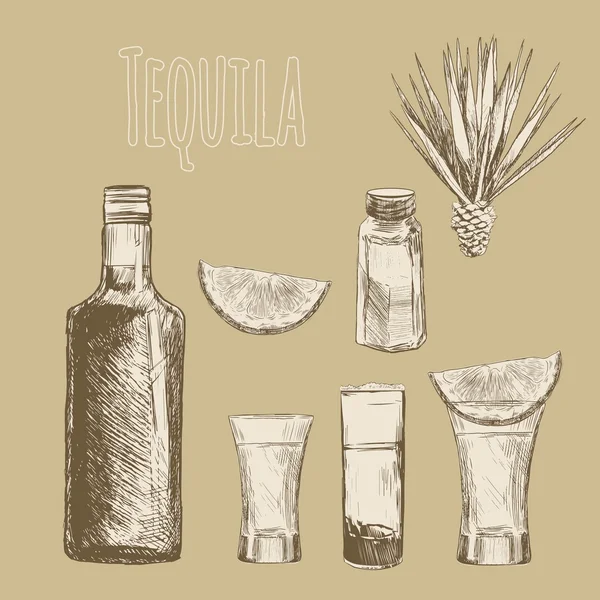 Vidro e garrafa de tequila . — Vetor de Stock