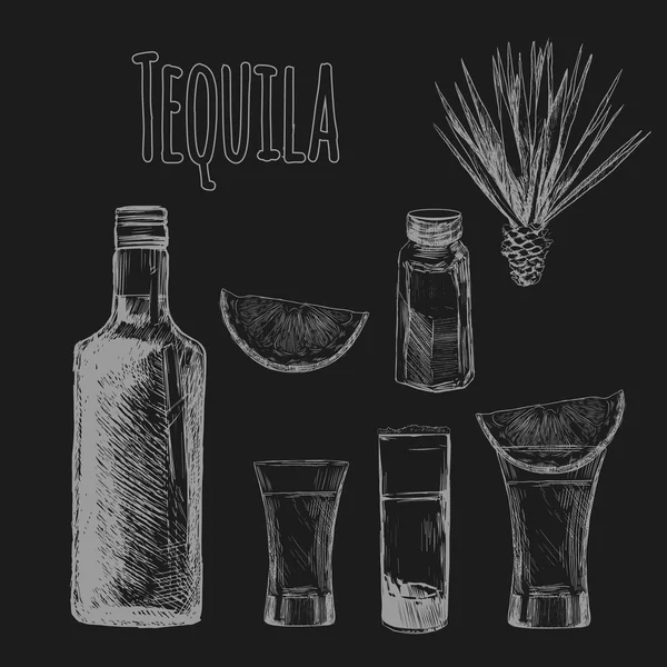 Glas en fles tequila. — Stockvector