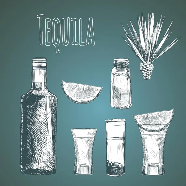 Üveg és a tequila uveg. — Stock Vector