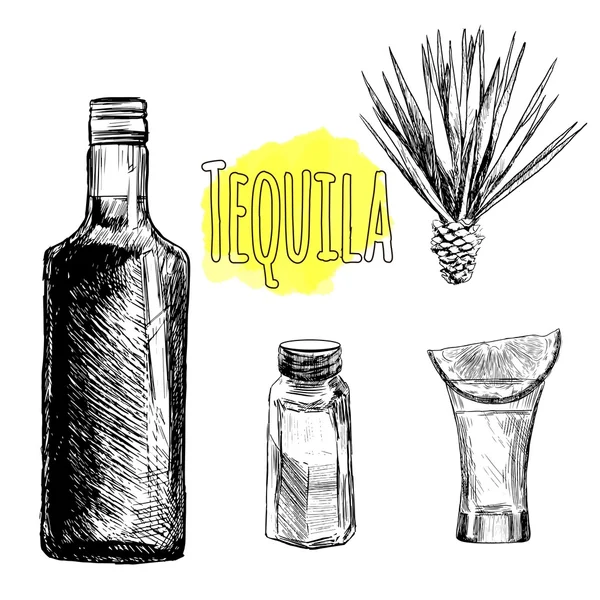 Vidro e garrafa de tequila . — Vetor de Stock
