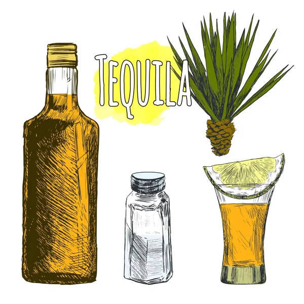 Vidrio y botella de tequila . — Vector de stock