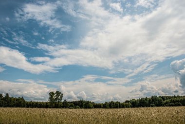 Bulutların altında Filed under