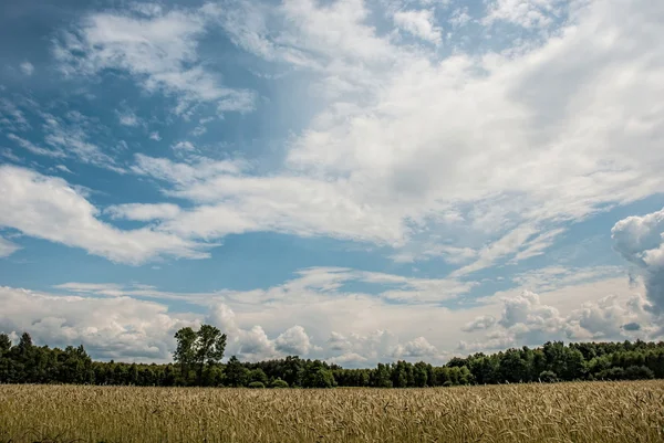 Bulutların altında Filed under