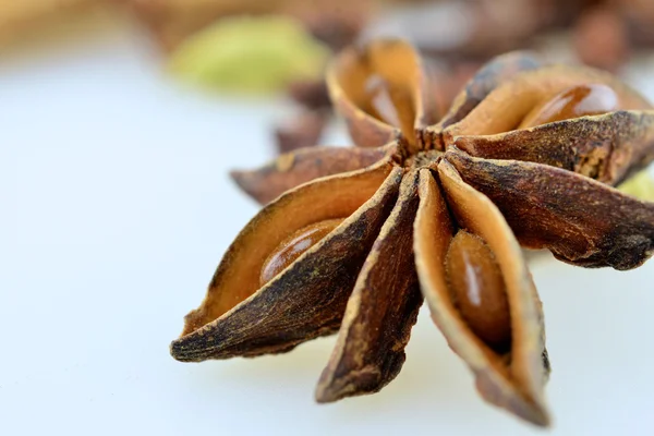 Anason yıldız, tohum