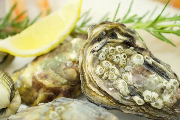 Limon ile kapalı istiridye
