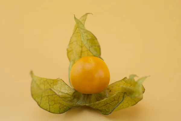 Opened fresh physalis — Stock Photo, Image