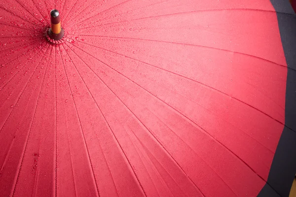 Kırmızı ıslak şemsiye