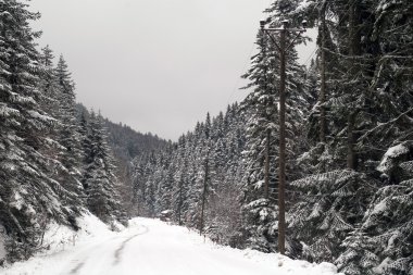 Kar ile Abant Gölü