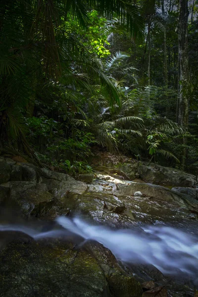Aventura Calmante Estado Ánimo Selva Tropical Cascada Larga Explosión Escena — Foto de Stock