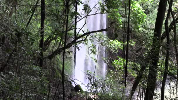 Stockfilm Bakom Ett Vattenfall Djungeln Regnskogen Med Lianas — Stockvideo