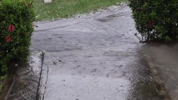 Vatten Som Rinner Uppfart Till Bostad Regnperioden Översvämningar — Stockvideo