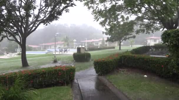 Дощ Падає Резиденцію Під Час Сезону Дощів — стокове відео