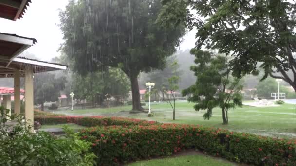Tropikalny Deszcz Rezydencji Deszczowa Pogoda Burza Dzienna — Wideo stockowe