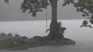 Yağmurda sallanan bir virgül ağacından sallanan sisli gri atmosfer, karanlık ve stresli.