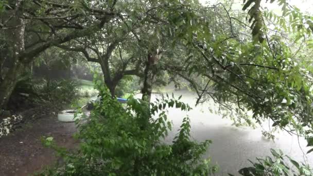 Regen Der Mit Wind Auf Einen See Und Auf Eine — Stockvideo