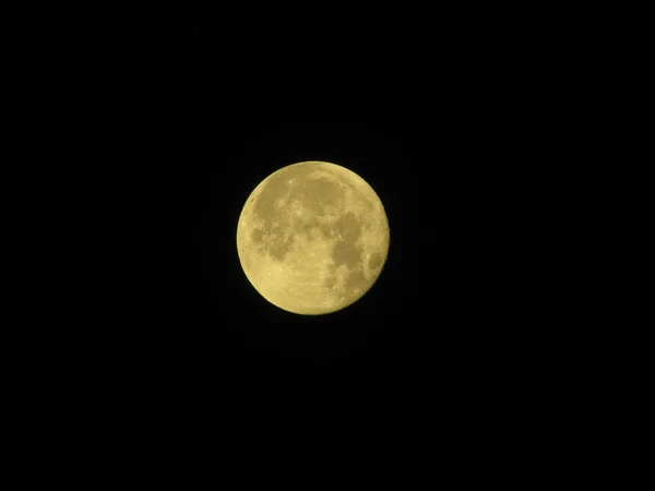 Nattmåne – stockfoto