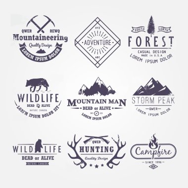 Set of premium vector labels