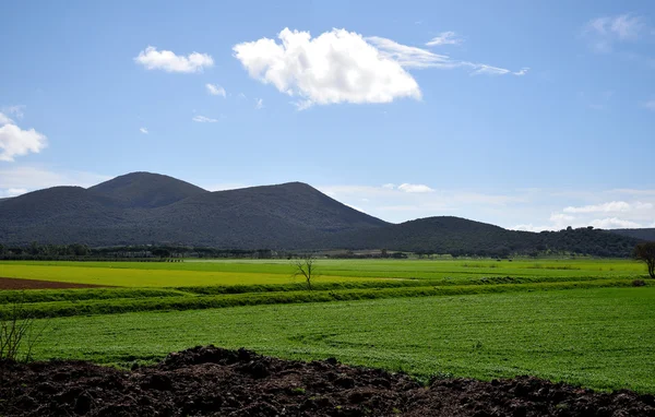 Paisagem na primavera — Fotografia de Stock