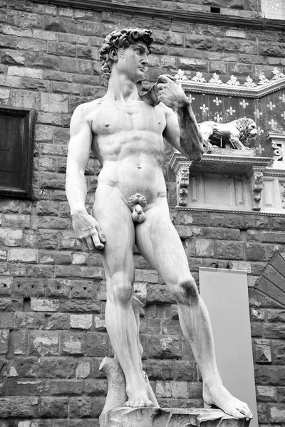 在意大利佛罗伦萨大卫雕像 — 图库照片