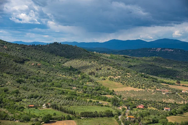 Panorama del campo —  Fotos de Stock