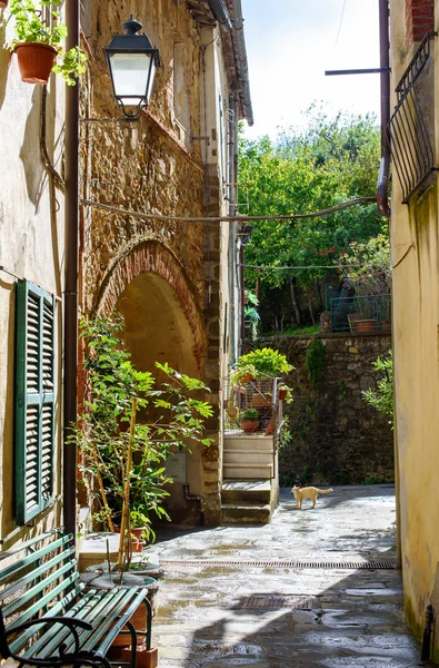 stock image alley of the italian village